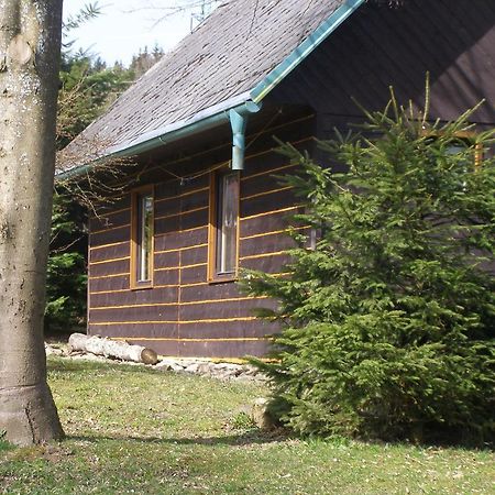 Chata Dvorečná Vila Loučovice Exterior foto