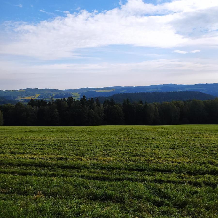 Chata Dvorečná Vila Loučovice Exterior foto