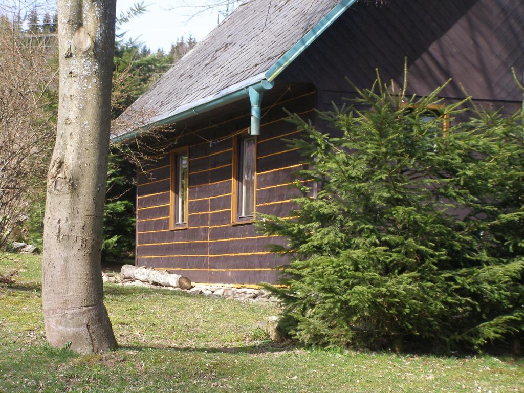 Chata Dvorečná Vila Loučovice Exterior foto