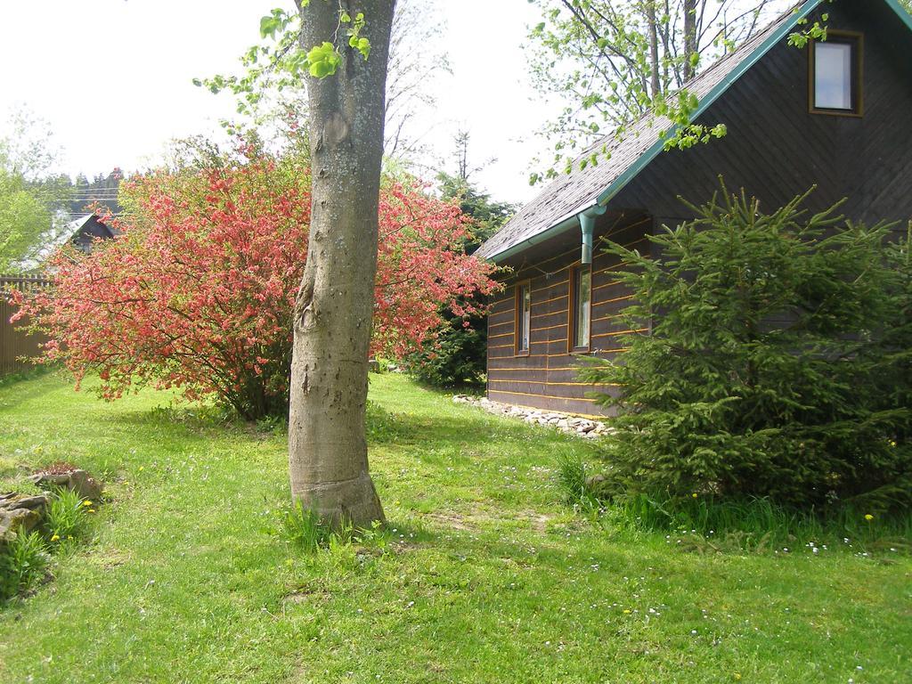 Chata Dvorečná Vila Loučovice Exterior foto