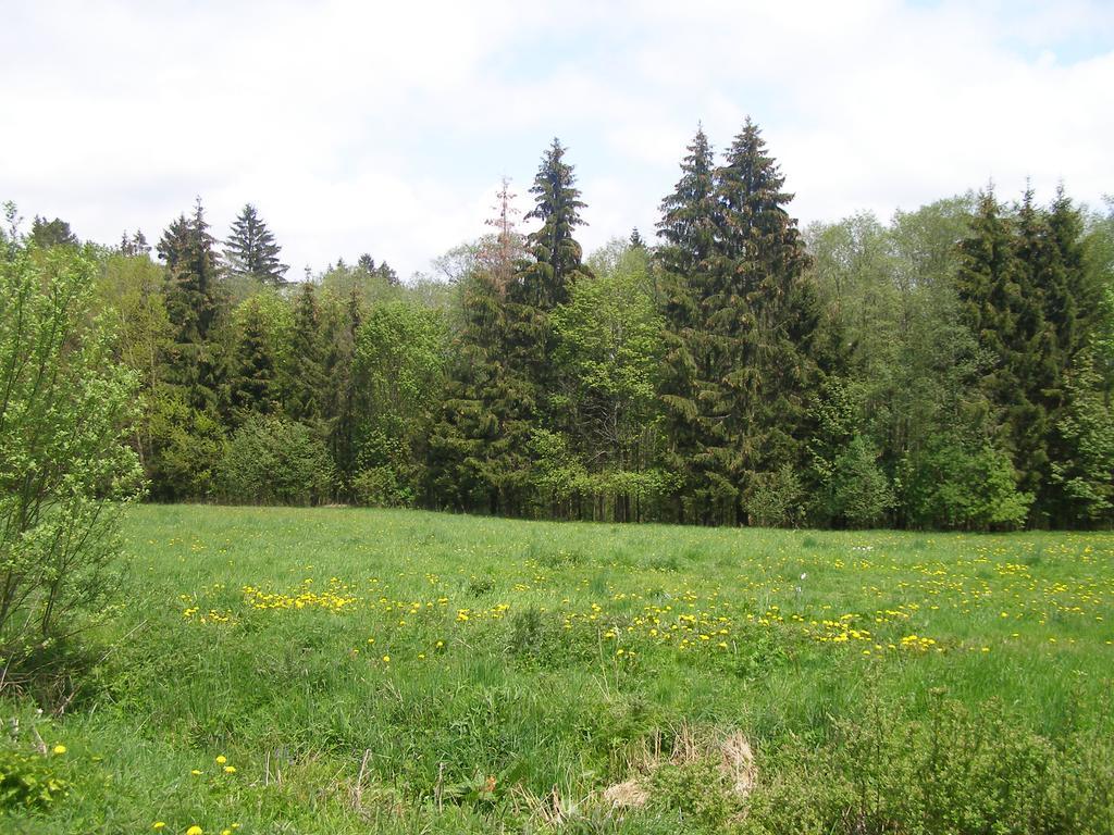 Chata Dvorečná Vila Loučovice Exterior foto