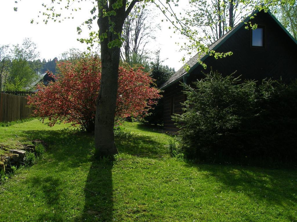 Chata Dvorečná Vila Loučovice Exterior foto