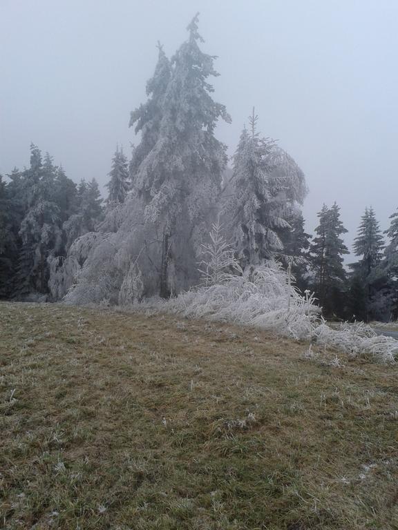 Chata Dvorečná Vila Loučovice Exterior foto