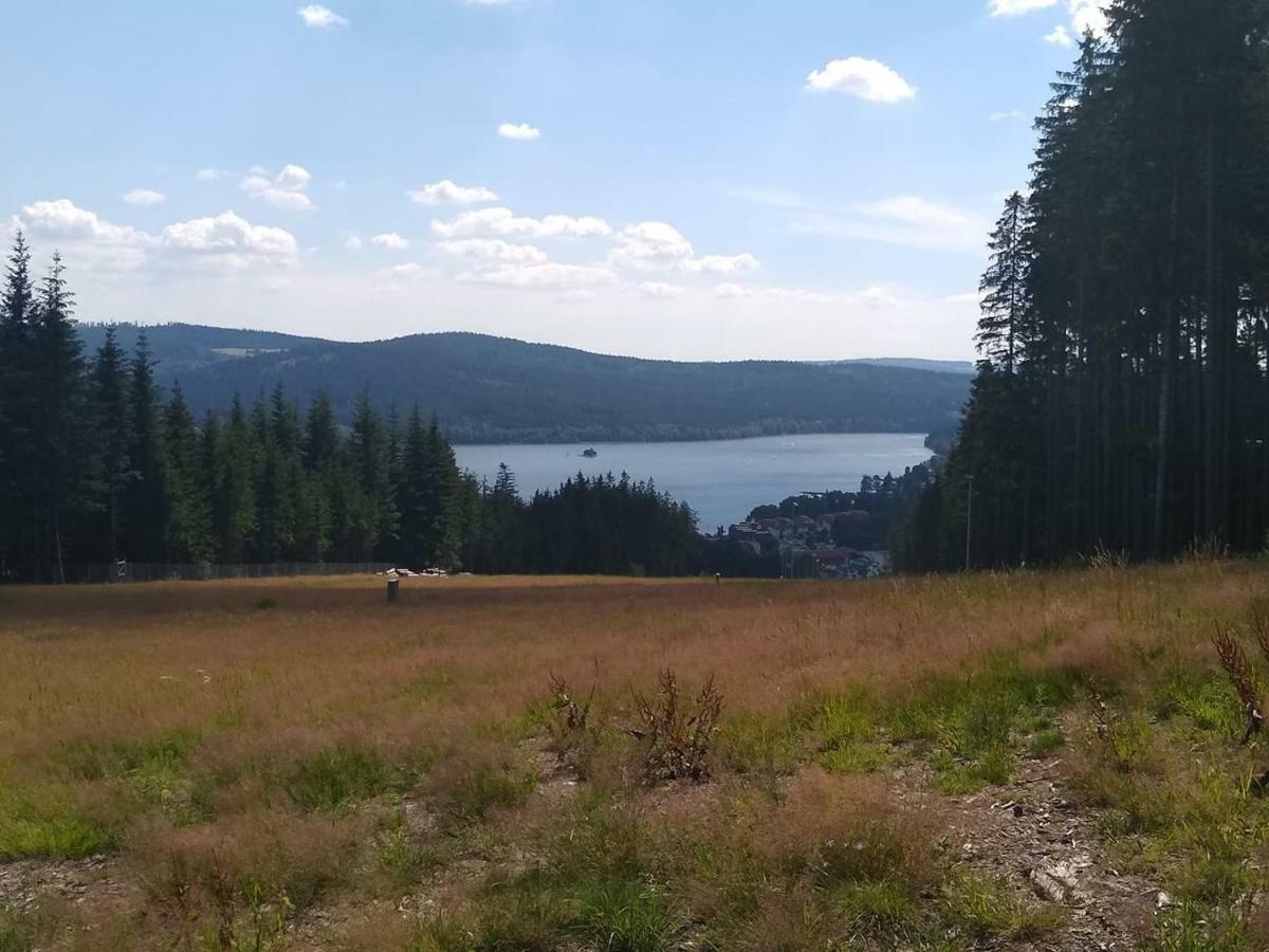 Chata Dvorečná Vila Loučovice Exterior foto